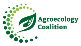 WhatsApp Image 2024-10-01 at 15.11.46_7c2533fb